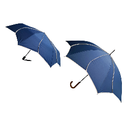 COMBO PARFI FLOWER BLEU